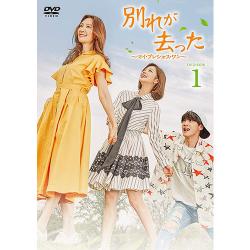 別れが去った～マイ・プレシャス・ワン～ DVD-BOX1
