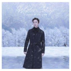 JUNHO(From2PM) - Winter Sleep(初回生産限定盤A)(DVD付) CD+DVD, Limited Edition