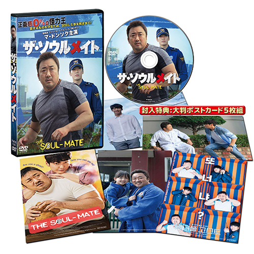 ザ・ソウルメイト [DVD]