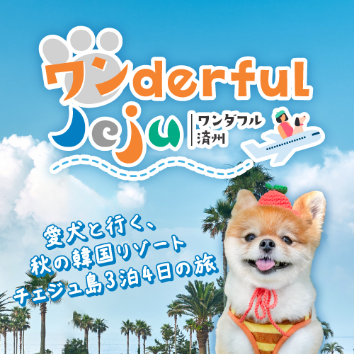 【成田発】ワンderful Jeju―愛犬と行く、秋の韓国リゾート・チェジュ島3泊4日の旅 ―