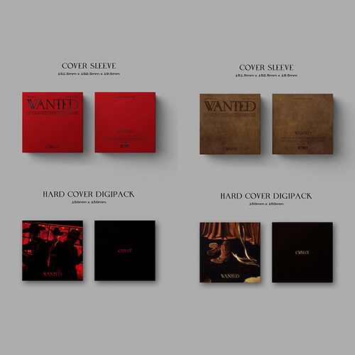 CNBLUE - WANTED [9th Mini Album/2種のうち1種ランダム発送]