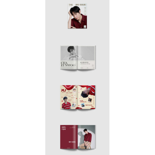 (キム・ヨンデ翻訳付き) THE BIG ISSUE No.341