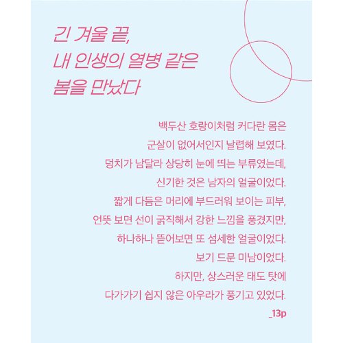 ドラマ「スプリング・フィーバー」原作小説